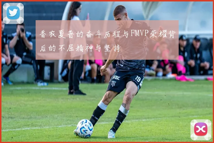 香农夏普的奋斗历程与FMVP荣耀背后的不屈精神与坚持